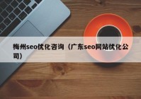 梅州seo优化咨询（广东seo网站优化公司）